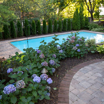 Chesaning Pool
