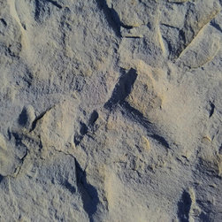 Stones and Flagstone - Products