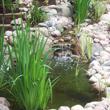 Waterfeature Gallery