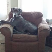 Emily Luken's photo