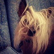 Kristi Kellogg's photo
