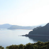 greg doggerelさんの写真