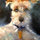nancy_levinson