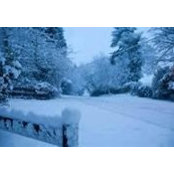 Photo de Frank Shaw
