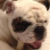 Raquel de los Reyes's photo