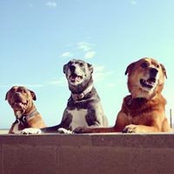 Jason Santos's photo