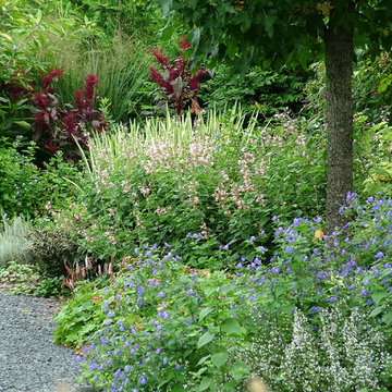 Deer Resistant Garden