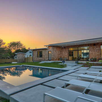 Modern Oasis