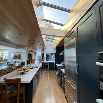 Dailey Residence Lean-To (Single Slope) Glass Skylight