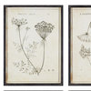 Set of 6 Black White Wild Flower Prints Vintage Style 24 in Wood Frame Gray