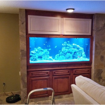 Fish Tank Built-In