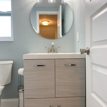 Lithia Full-Home Renovation