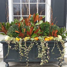 CONTAINER ANNUALS