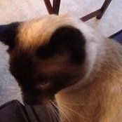 Barbara Randall's photo