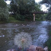 Josh Bradley's photo