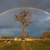 Anne Knott Reish's photo
