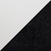 Matteo Maneiro's photo