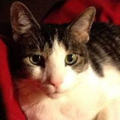 Pauline Scheck's photo