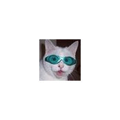 Michael Carter's photo