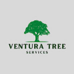 Ventura Tree Services