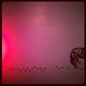 Brooke Bartholomay's photo