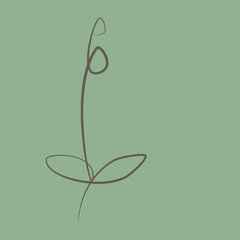 Ophrys Architecte Paysagiste
