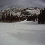Don Madden's photo