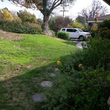 La Crescenta River Bed Project