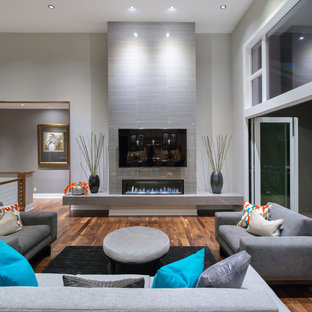 75 Beautiful Gray Living Room Pictures Ideas Houzz