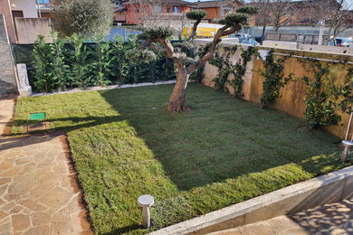 Immagine di un piccolo giardino formale design esposto in pieno sole davanti casa in inverno con un ingresso o sentiero e ghiaia