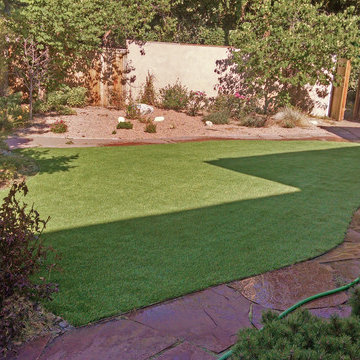 Artificial Grass Lawn in Cherry Creek