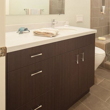 Master and Hall Bathroom Remodels