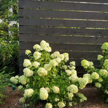 Sammamish Plateau