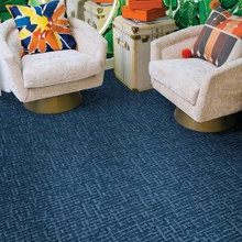 carpet media room