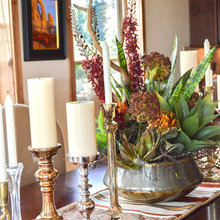 Flowers and plants