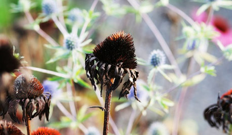7 Gründe, warum Sie Ihren Garten im Herbst in Ruhe lassen sollten