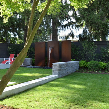 Backyard Oasis