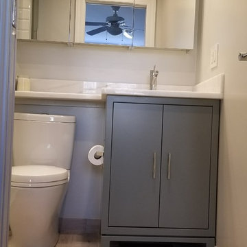 Hoboken Bathroom Project