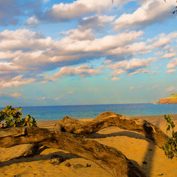 Driftwood on Lanaii Beach, Beautiful Sky, 16x24 Fine Art Canvas, .75" depth - Fine Art Prints