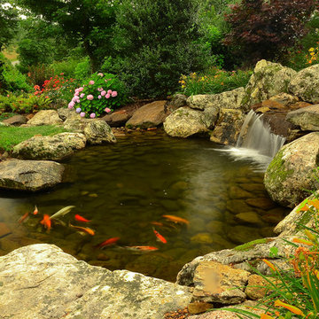 Water Feature