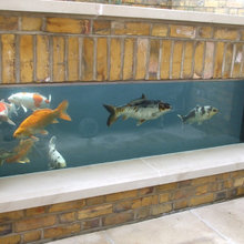 Koi Pond