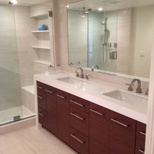 Master Bathroom Remodel