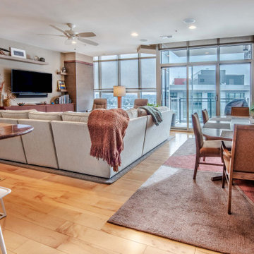 Midcentury Influenced Contemporary Condo