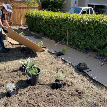 Sheet Mulch Process