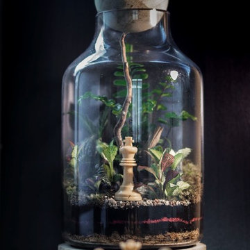 Singapore's Terrariums