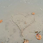 Allie Nesvold's photo
