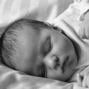 Leslie Shalla's photo