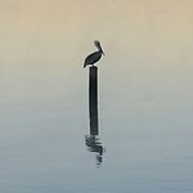 Michele Stropoli's photo