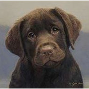 Helene Vitale's photo