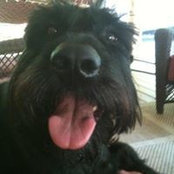 Heather Roan Philley's photo